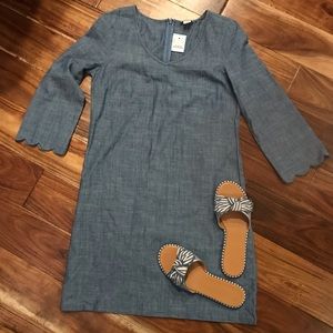 NEW JCREW Chambray Scalloped Sleeved Dress